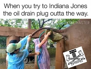 38K views · 254 reactions | I apologize in advance. | Clapd Out. | Facebook