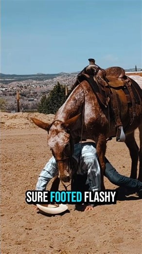 Mule Sells For $100K In Utah! 😮 #Mule #Horse #HorseAuction #Mules #Equestrian