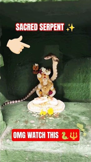 Snake Coiling Shiva - Divine Protection 🐍🔱 #Shorts