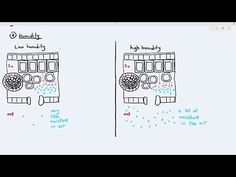 7-5 Factors Affecting Transpiration Rate (Cambridge AS A Level Biology, 9700)