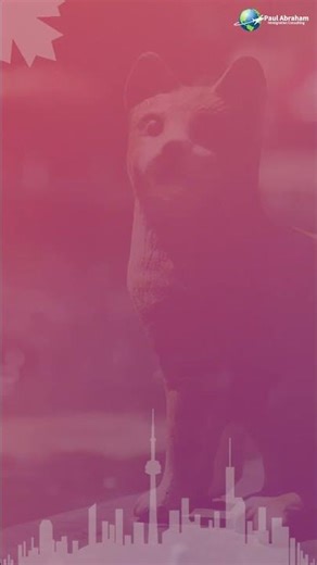 Draw #363: PNP-Specific (Provincial Nominee Program) #expressentry