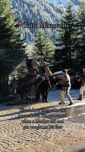 Calming a Scared Horse in Tatra Mountains, Poland