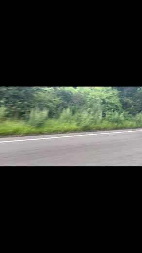 6.5K views · 85 reactions | @jarvspeed ‘s Zetec powered Mk2 zephyr. Is this the first zetec Mk2 Zephyr/Zodiac??? Nice to see it on the road after a long winter of grafting in the garage… what are you putting a Zetec in the more obscure the better ?? | Retro Ford | Facebook