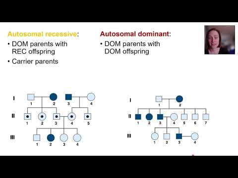 Inheritance: Sex-linked inheritance