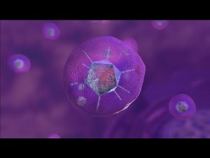 How COVID-19 Viral Vector Vaccines Work