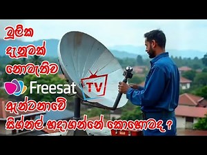 "How to Get Signal from Express AM7 Satellite to Freesat TV Antenna | Full Installation Guide"