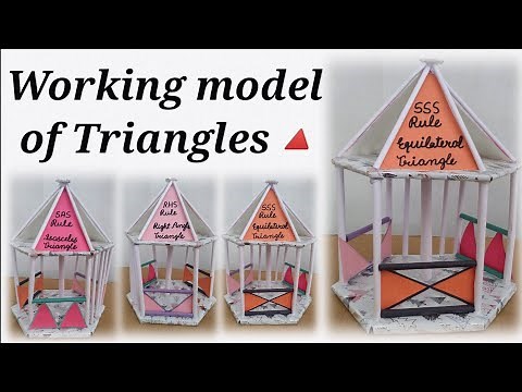 Maths project for class 9 | Congruence of Triangles|SSS, SAS, ASA, AAS | congruent triangles rules.