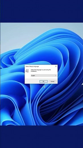 Find Large Hidden Files | Install and Run TreeSize | Clean up storage