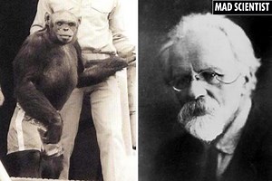 Inside Russia's HUMANZEE experiment that saw human sperm injected into apes