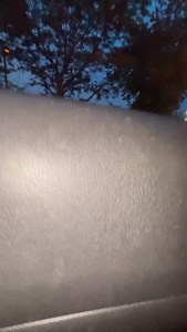 46K views · 62 reactions | I REALLY DONT LIKE TRENTON , HE CRASHED & RAN OFF 臘‍♂️ #crash #cars #accident #fyp #explorepage | Geno Smith III | Facebook