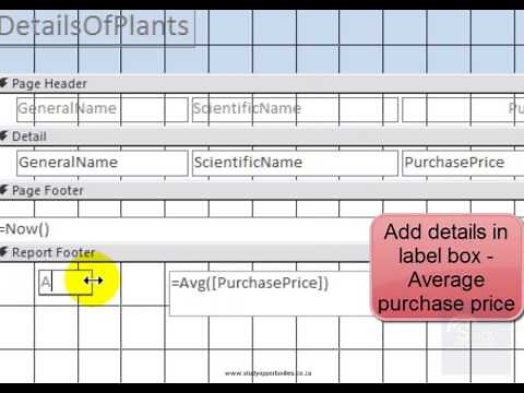 Calculations in Microsoft Access Report Footer Act5No1