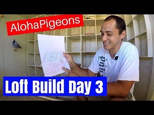 Homing Racing Pigeon Loft Construction Day 3