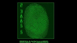 Finder Print, Finding, Fbi. Free Stock Video