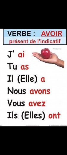 Le verbe avoir au présent : conjugaison et exemples