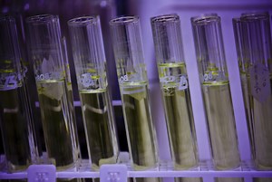 Basic Lab Operations Experiments | Chemistry Online