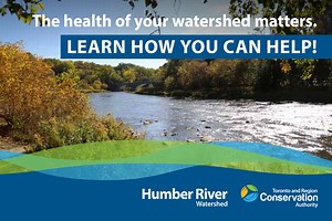 Humber River Watershed Plan
