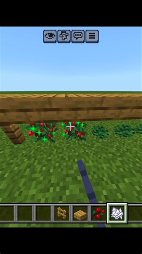 Starting Farm For Minecraft