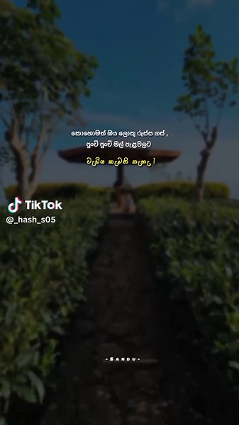 Exploring Sinhala Quotes for Deep Emotions