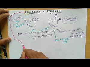 Inversion and Eversion of Foot and It's Clinical | TCML | The Charsi of Medical Literature