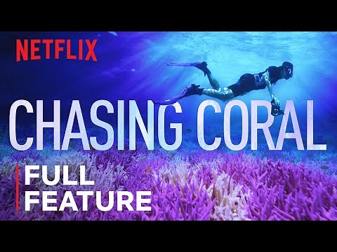 Chasing Coral | FULL FEATURE | Netflix