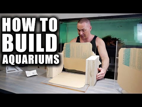 HOW TO BUILD AN AQUARIUM (ACRYLIC) fish tank!