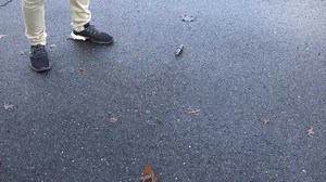 3.5K views · 137 reactions | The compact Odin Mini is ready for action with 1,250 lumens and an included remote switch and M-Lok mount. Get yours up to 45% off starting Nov. 25 at 8 PM Eastern time for our Black Friday sale! Learn more - https://www.olightstore.com/?utm_source=facebook_social&utm_medium=facebook_official | Olight World | Facebook