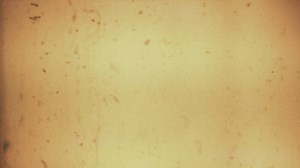 Free Old Film Videos: 4K & HD | No Watermark | Download Now