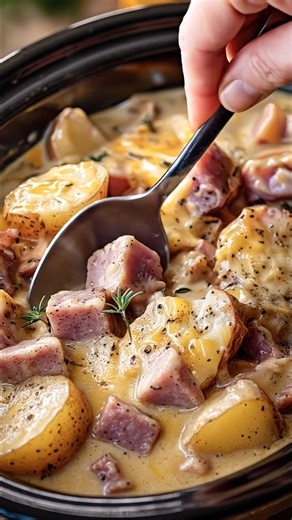 🥔🍖 Creamy Crockpot Ham & Potatoes 🧀✨ Rich, cozy slow-cooker comfort food with tender potatoes, savory ham, and a creamy cheesy sauce 😍 Ingredients: * 4 cups potatoes, peeled and sliced (Yukon gold or russet) * 2 cups cooked ham, diced * 1 small onion, diced ... 𝐅𝐮𝐥𝐥 𝐑𝐞𝐜𝐢𝐩𝐞 𝐢𝐧 𝐂𝐨ʍ𝐦еոτ 💬👇 | My Heavenly Recipes