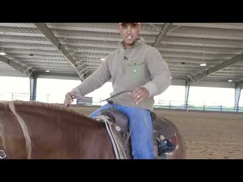 The Secret to Holding the Reins Like a Pro 🤫🏆