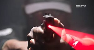 Take a Look at the LaserMax Guide Rod Laser