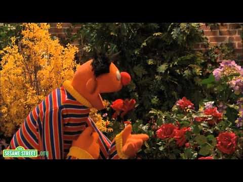 Sesame Street: I Wonder