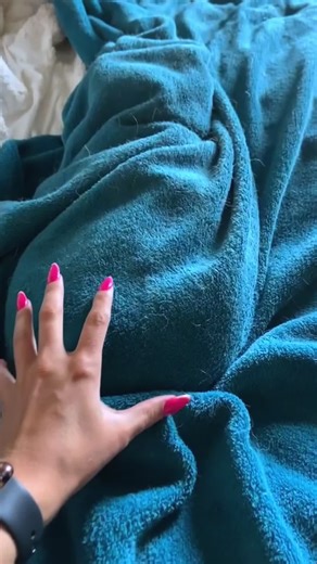 Hide and Seek Games with Your Cat - Daily Fun