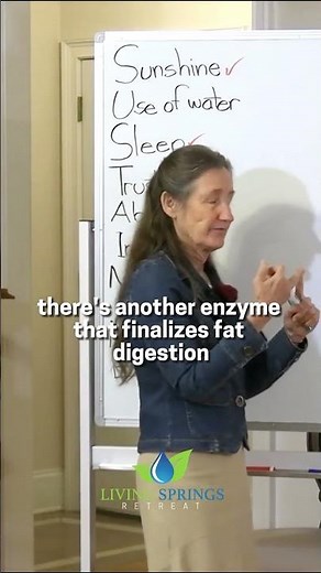 Enzymes: The Key to Digestion