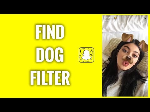 How To Find Snapchat Dog Filter
