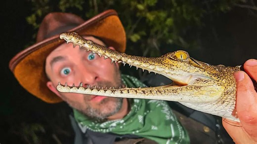 Catching Freshwater Crocodiles in a Dangerous River