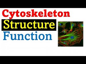 Cytoskeleton structure and Function Video Lecture - Crash Course for CSIR