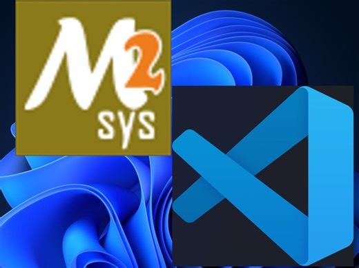 vscode安装并使用MSYS2作为工具链