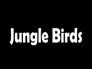 Jungle Forest Birds Sound Effect
