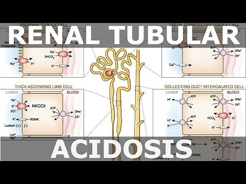 Renal Tubular Acidosis