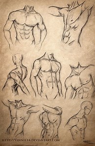 The Best 14 Human Anatomy Male Body Reference Drawing