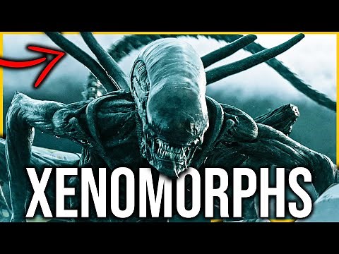Xenomorph COMPLETE Breakdown | creation, biology, variants, etc.