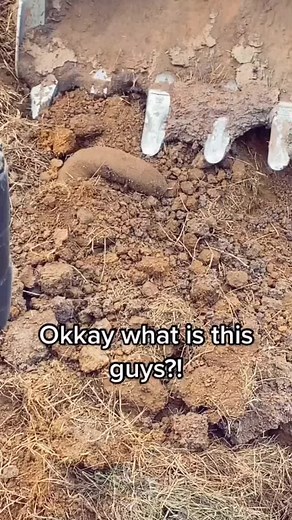 Surviving the Graboid Queen: Equipment and Strategies