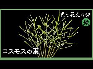 コスモスの葉 〜 ワイヤーとアクリル樹脂で作るアートフラワー 〜【色と花えらびシリーズ（緑）】
