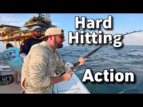 Offshore Fishing for Hard-Hitting Action off Galveston, TX