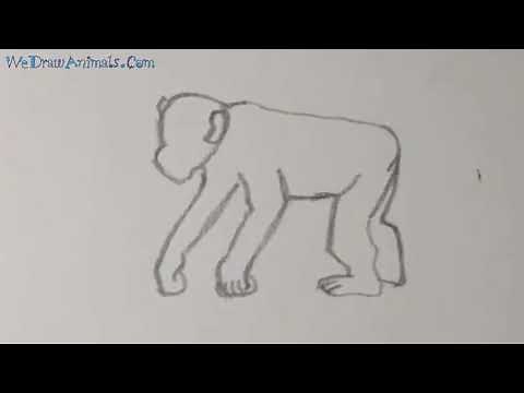 How to Draw a Chimpanzee In 8 EASY Steps - GREAT for Kids & Beginners