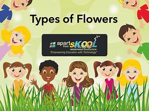 Types Of Flowers