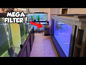 How I Filter The 1,500 Gallon DIY Plywood Aquarium