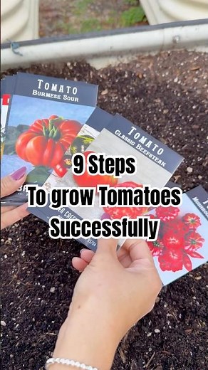 9 Steps to grow Tomatoes Successfully!