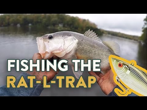 Rat-L-Trap Fishing Tips | How To Fish Lipless Crankbaits (Ft. Brian Lattimer)