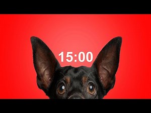 15 Minute Timer for School & Homework Dog Bark Alarm Sound Improve Focus & Productivity